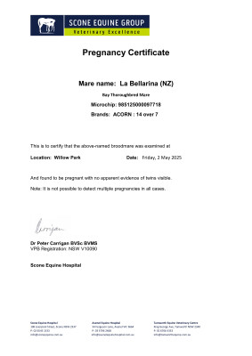 Pregnancy Certificate for Lot 287