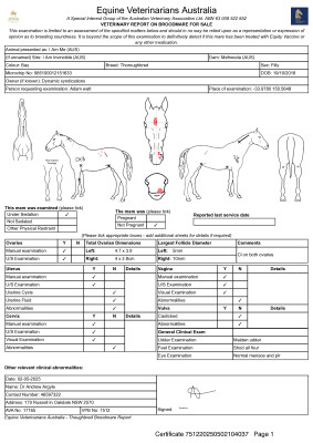 Breeding Report for Lot 70