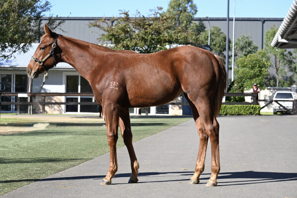 Lot 565: Stay Inside / Mixed Emotions