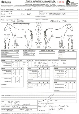 Breeding Report for Lot 238