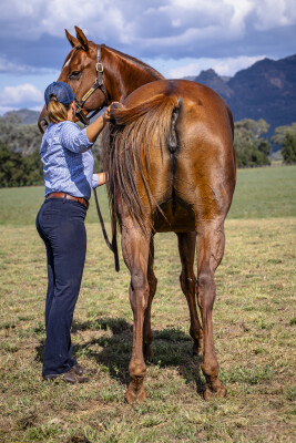 Lot 209: Written By / Farasha (NZ)