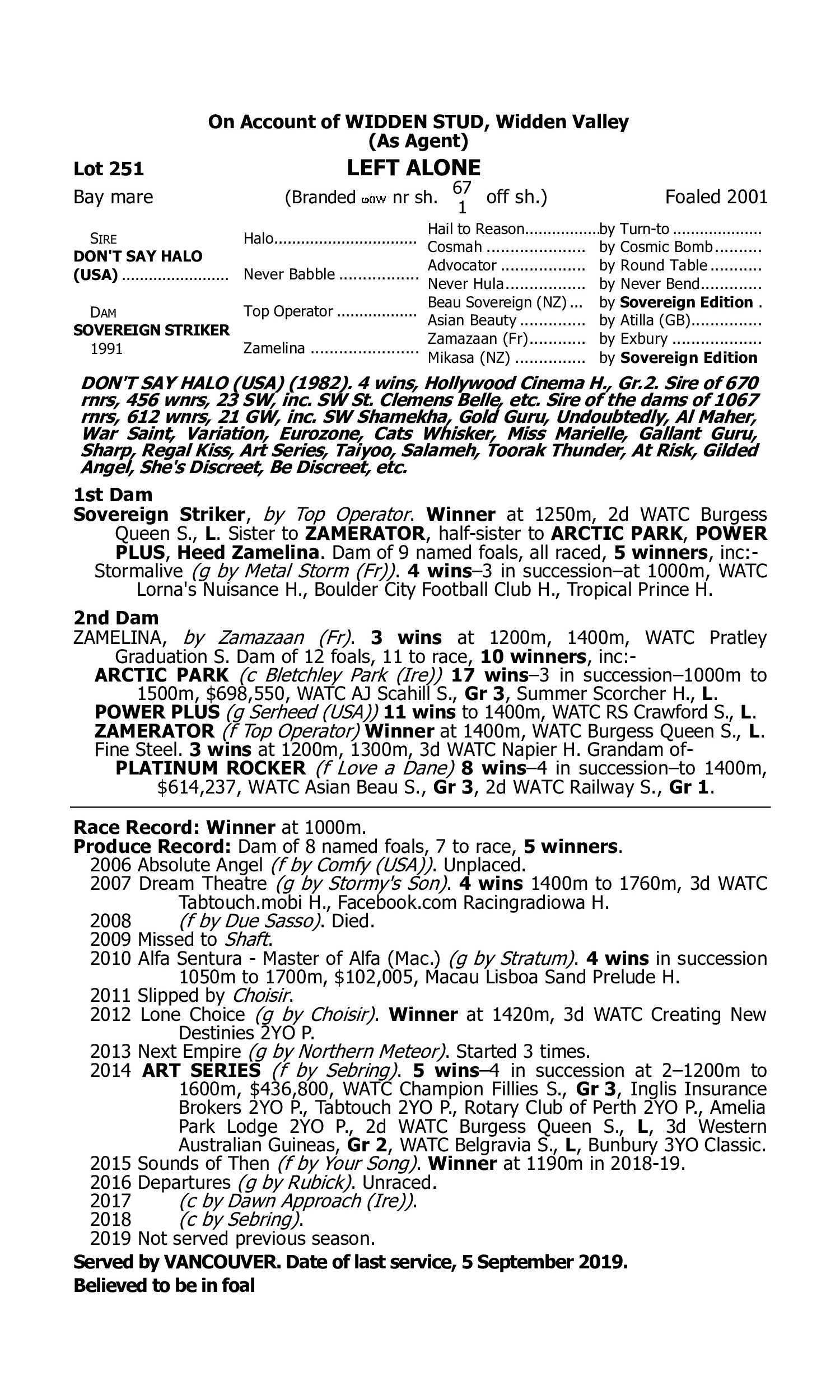 Pedigree for Lot 251 Don't Say Halo (USA) - Sovereign Striker