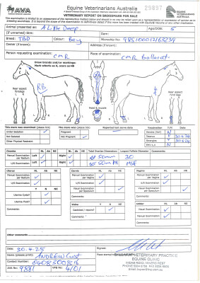 Breeding Report for Lot 25