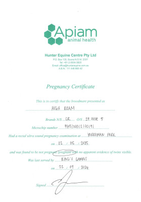 Pregnancy Certificate for Lot 281
