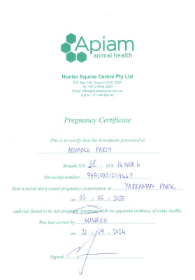 Pregnancy Certificate for Lot 243