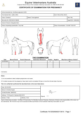 Pregnancy Certificate for Lot 29