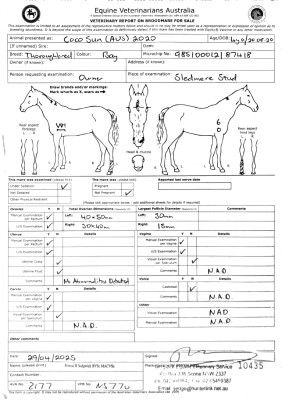 Breeding Report for Lot 48