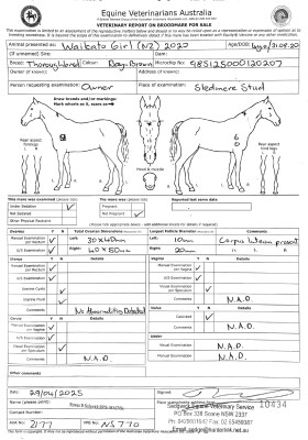 Breeding Report for Lot 20
