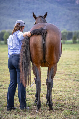 Lot 284: I Am Invincible / Intimate Moment (NZ)