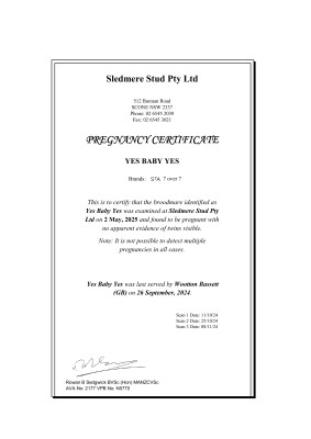 Pregnancy Certificate for Lot 24