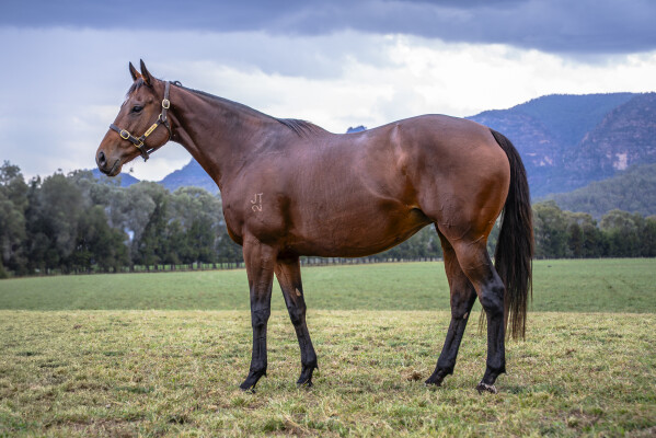 Lot 284: I Am Invincible / Intimate Moment (NZ)
