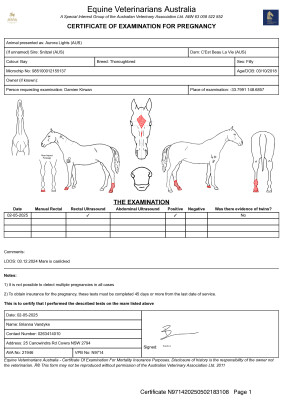 Pregnancy Certificate for Lot 33