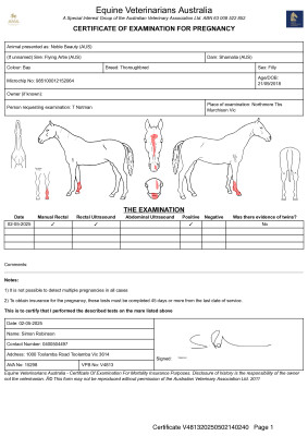 Pregnancy Certificate for Lot 202