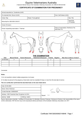 Pregnancy Certificate for Lot 49