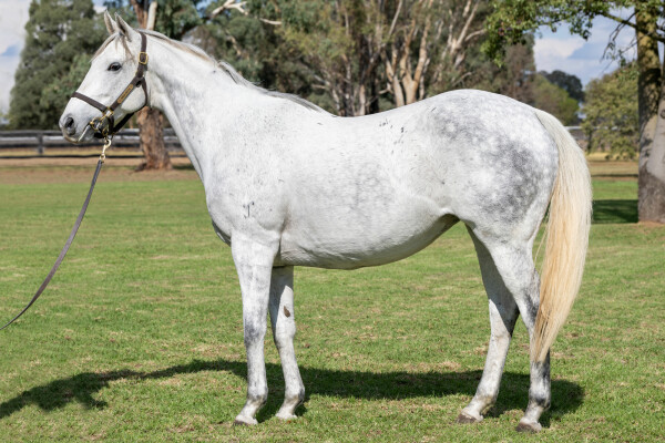 Lot 201: I Am Invincible / Girl in Flight