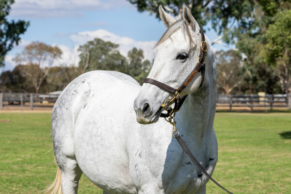 Lot 201: I Am Invincible / Girl in Flight