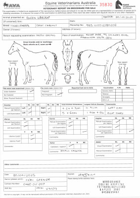 Breeding Report for Lot 6
