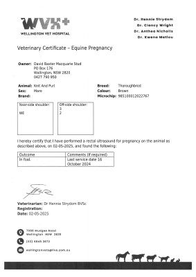Pregnancy Certificate for Lot 75