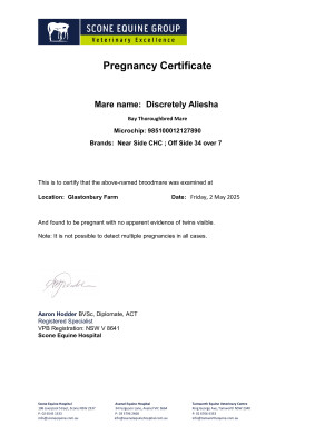 Pregnancy Certificate for Lot 262