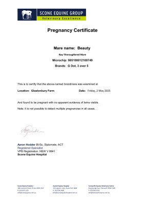 Pregnancy Certificate for Lot 249