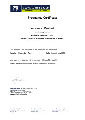 Pregnancy Certificate for Lot 205