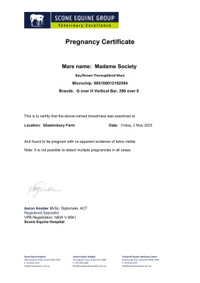 Pregnancy Certificate for Lot 80