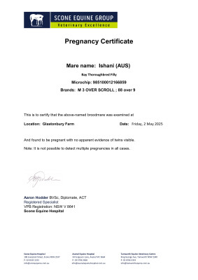 Pregnancy Certificate for Lot 71