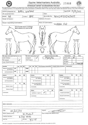 Pregnancy Certificate for Lot 31