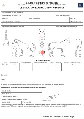 Pregnancy Certificate for Lot 28