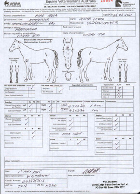 Breeding Report for Lot 5