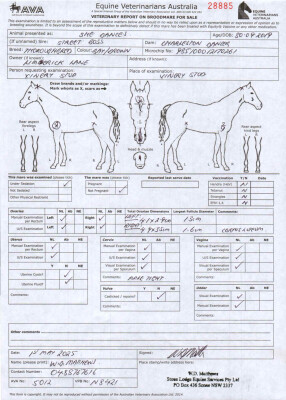 Breeding Report for Lot 11