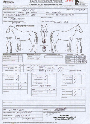 Breeding Report for Lot 12