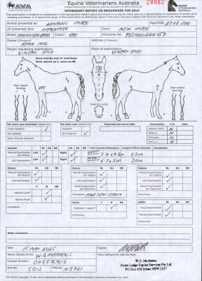 Breeding Report for Lot 78