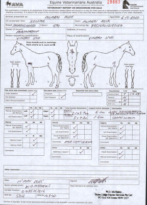 Breeding Report for Lot 87