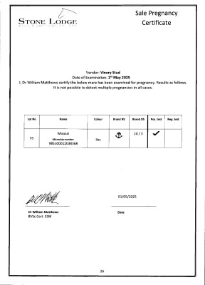 Pregnancy Certificate for Lot 93