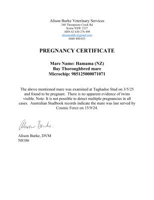 Pregnancy Certificate for Lot 279
