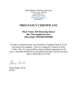 Pregnancy Certificate for Lot 304