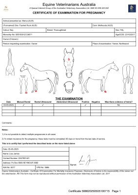 Pregnancy Certificate for Lot 298