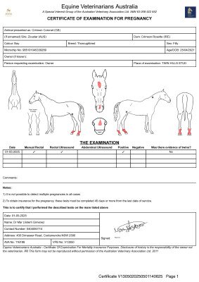 Pregnancy Certificate for Lot 50