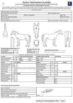 Breeding Report for Lot 74
