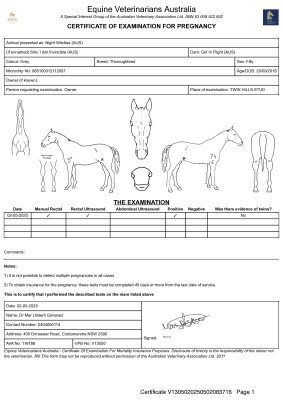 Pregnancy Certificate for Lot 201