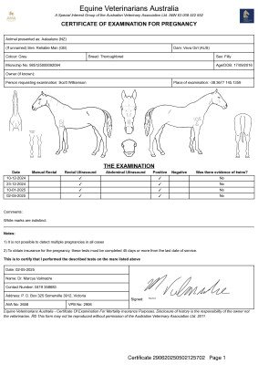 Pregnancy Certificate for Lot 26