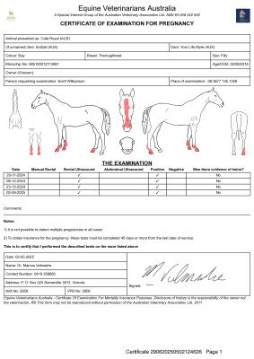 Pregnancy Certificate for Lot 39