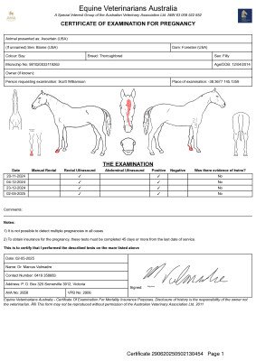 Pregnancy Certificate for Lot 247
