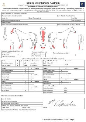 Breeding Report for Lot 229