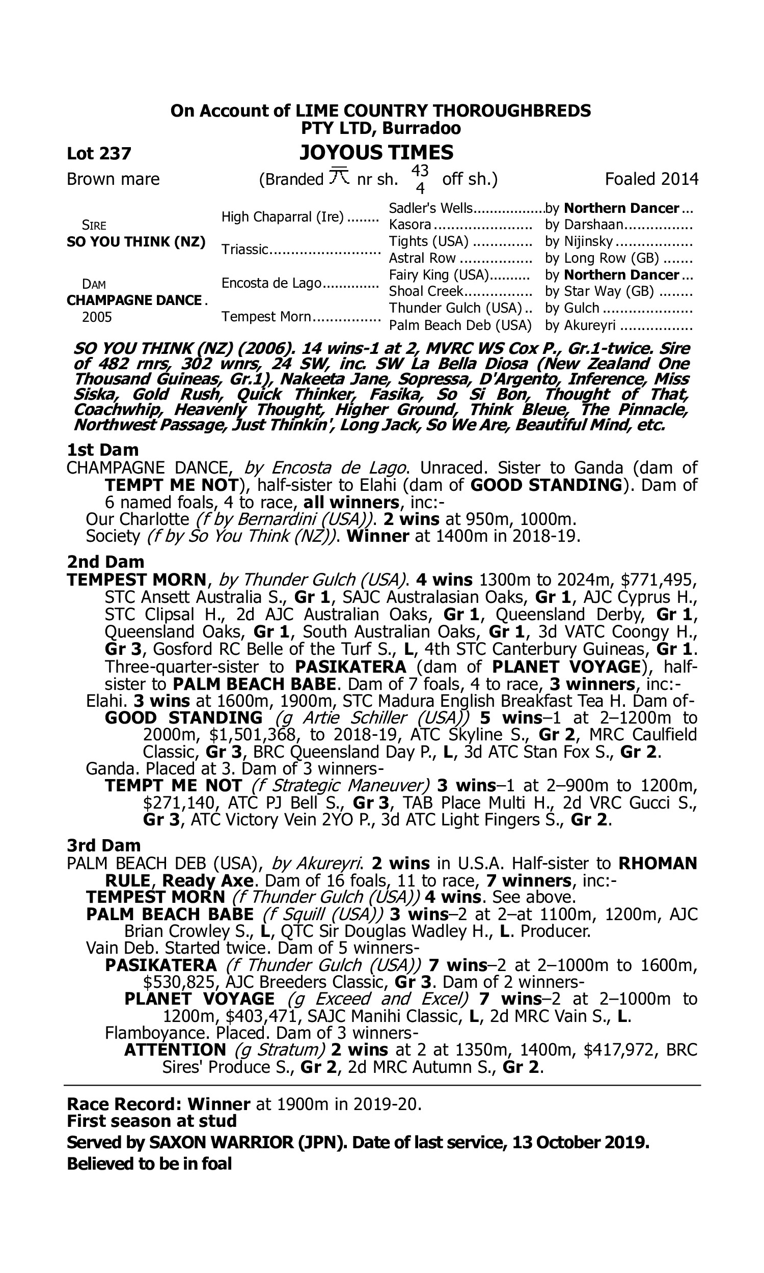 Pedigree for Lot 237 So You Think (NZ) - Champagne Dance