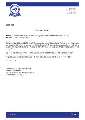 Vet Report for Lot 25