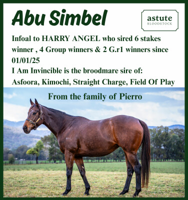 Lot 242: I Am Invincible / Siwa Lady