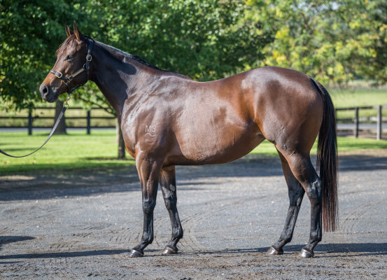 Lot 71: I Am Invincible / O'Marilyn
