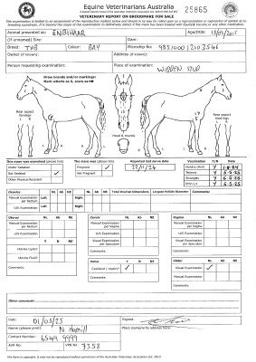 Pregnancy Certificate for Lot 55